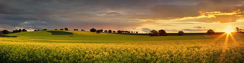 Farm land in country New South Wales