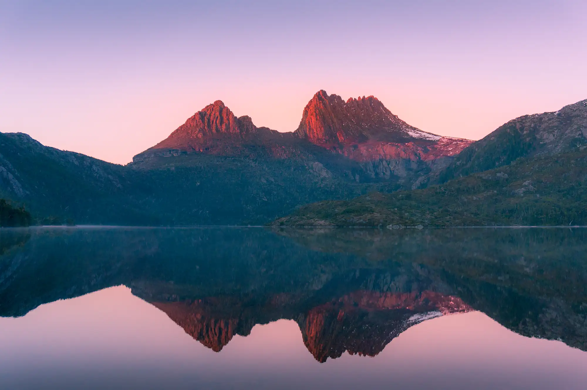 Header Background
