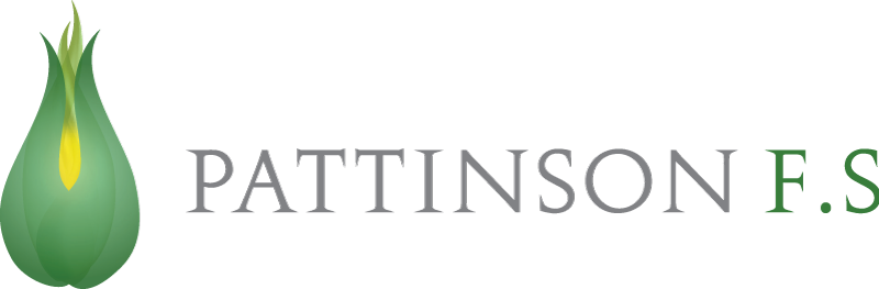 Pattinson FS logo