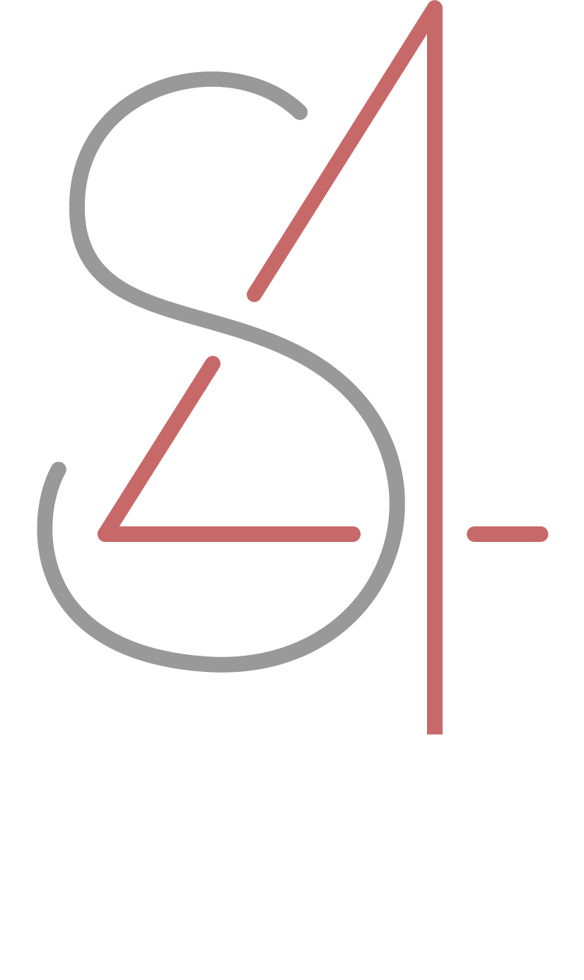 S4 Logo