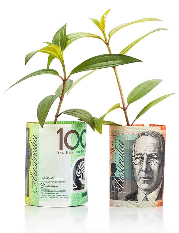 money grows trees